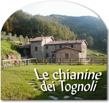מלון Gragnola Le Chianine Dei Tognoli מראה חיצוני תמונה
